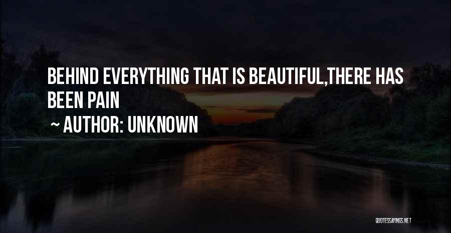 Unknown Quotes: Behind Everything That Is Beautiful,there Has Been Pain