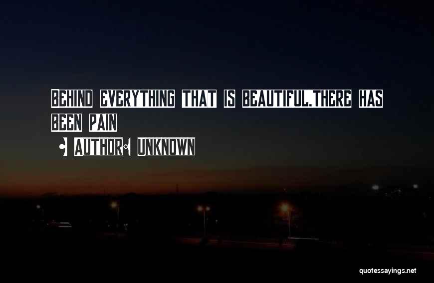 Unknown Quotes: Behind Everything That Is Beautiful,there Has Been Pain