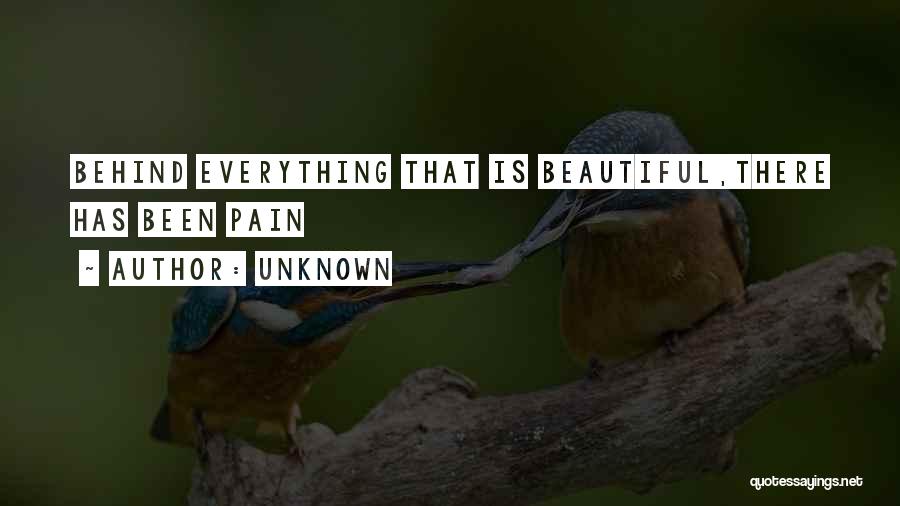 Unknown Quotes: Behind Everything That Is Beautiful,there Has Been Pain