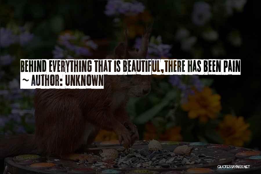 Unknown Quotes: Behind Everything That Is Beautiful,there Has Been Pain
