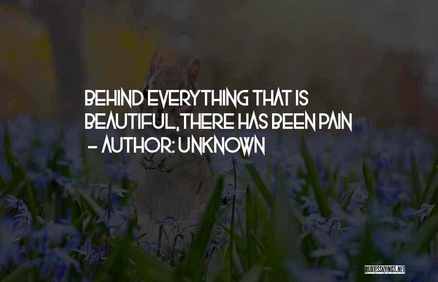 Unknown Quotes: Behind Everything That Is Beautiful,there Has Been Pain