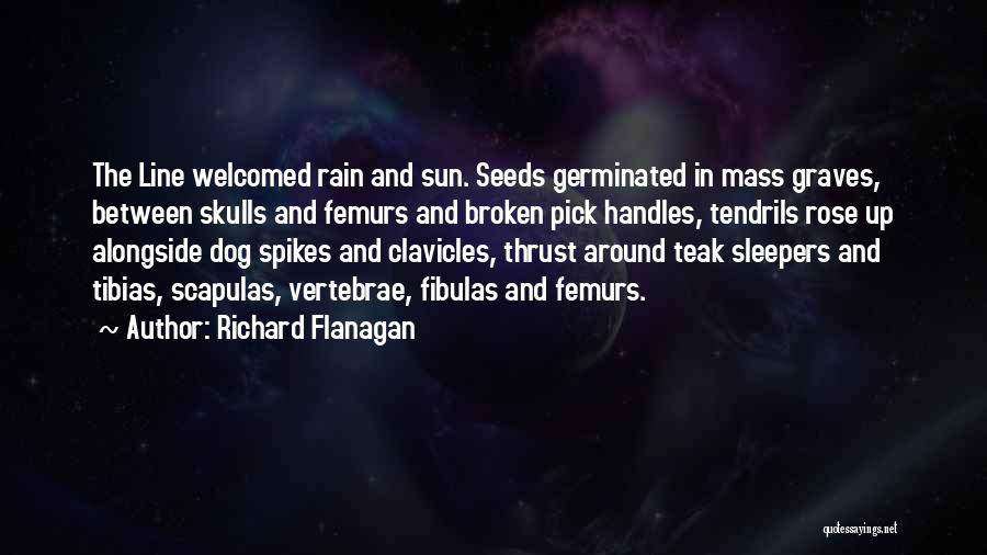 Richard Flanagan Quotes: The Line Welcomed Rain And Sun. Seeds Germinated In Mass Graves, Between Skulls And Femurs And Broken Pick Handles, Tendrils