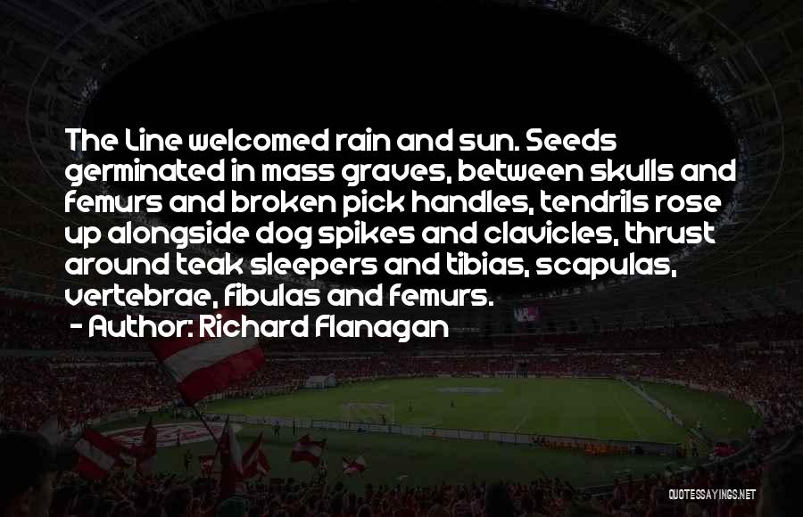 Richard Flanagan Quotes: The Line Welcomed Rain And Sun. Seeds Germinated In Mass Graves, Between Skulls And Femurs And Broken Pick Handles, Tendrils