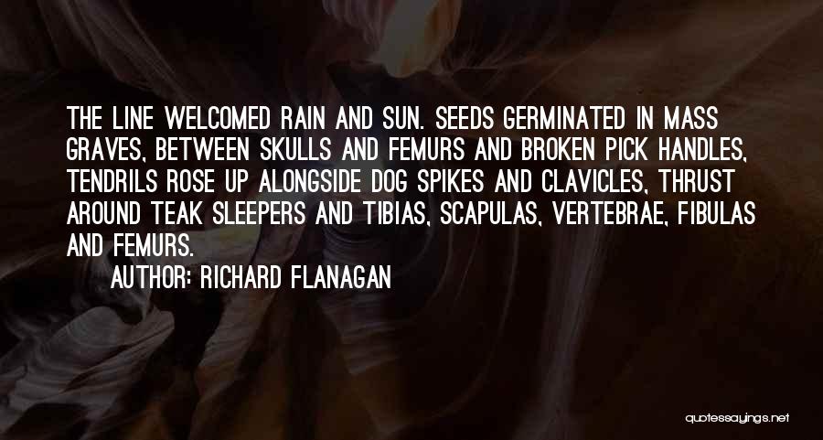 Richard Flanagan Quotes: The Line Welcomed Rain And Sun. Seeds Germinated In Mass Graves, Between Skulls And Femurs And Broken Pick Handles, Tendrils