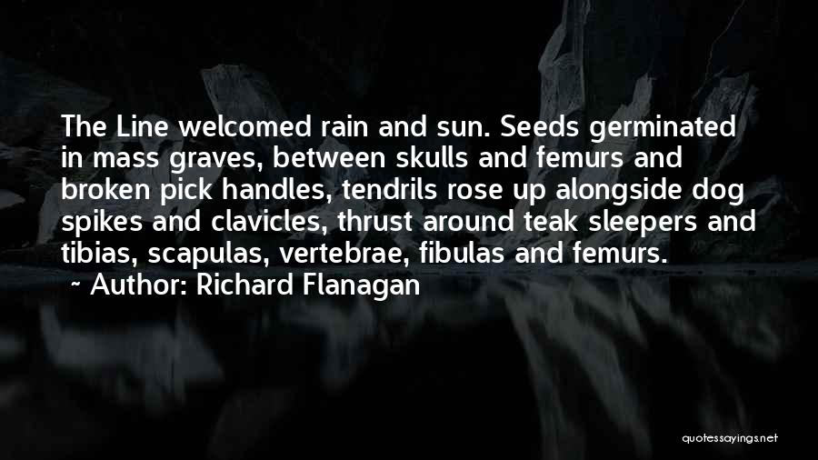 Richard Flanagan Quotes: The Line Welcomed Rain And Sun. Seeds Germinated In Mass Graves, Between Skulls And Femurs And Broken Pick Handles, Tendrils