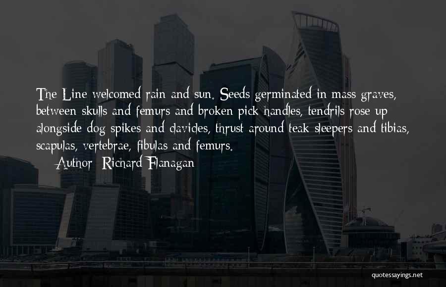 Richard Flanagan Quotes: The Line Welcomed Rain And Sun. Seeds Germinated In Mass Graves, Between Skulls And Femurs And Broken Pick Handles, Tendrils