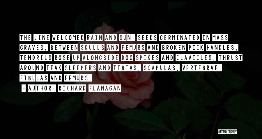 Richard Flanagan Quotes: The Line Welcomed Rain And Sun. Seeds Germinated In Mass Graves, Between Skulls And Femurs And Broken Pick Handles, Tendrils