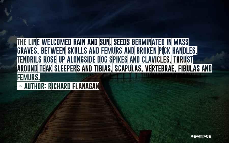 Richard Flanagan Quotes: The Line Welcomed Rain And Sun. Seeds Germinated In Mass Graves, Between Skulls And Femurs And Broken Pick Handles, Tendrils