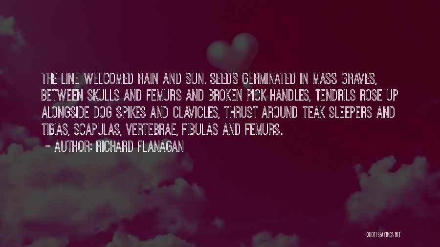 Richard Flanagan Quotes: The Line Welcomed Rain And Sun. Seeds Germinated In Mass Graves, Between Skulls And Femurs And Broken Pick Handles, Tendrils