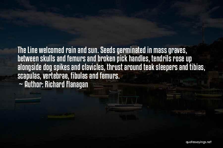 Richard Flanagan Quotes: The Line Welcomed Rain And Sun. Seeds Germinated In Mass Graves, Between Skulls And Femurs And Broken Pick Handles, Tendrils