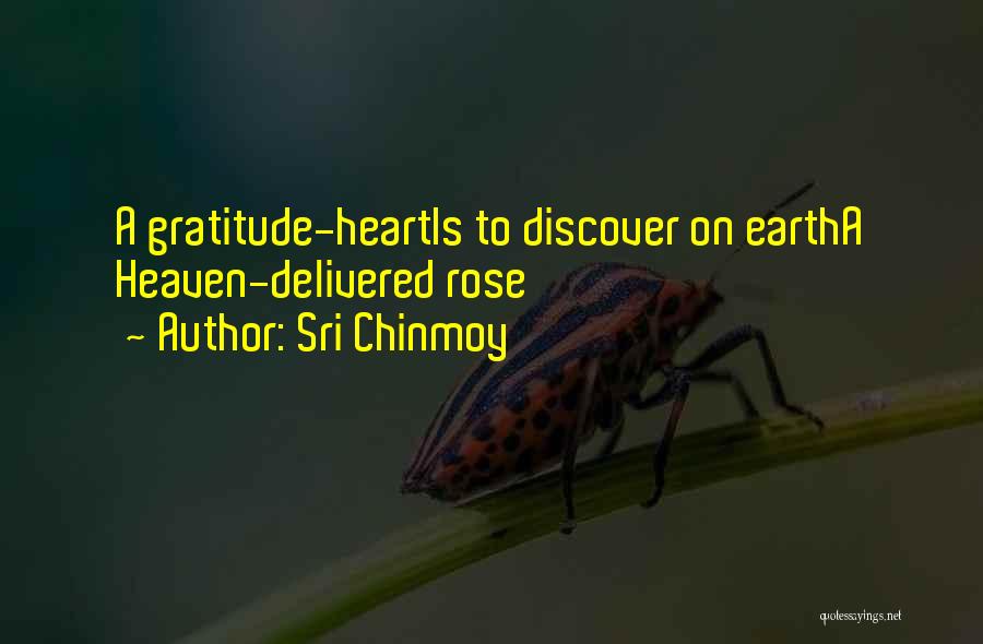 Sri Chinmoy Quotes: A Gratitude-heartis To Discover On Eartha Heaven-delivered Rose