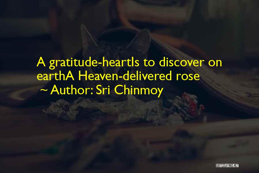 Sri Chinmoy Quotes: A Gratitude-heartis To Discover On Eartha Heaven-delivered Rose