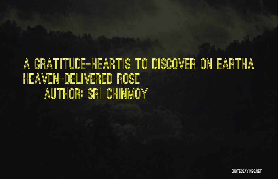 Sri Chinmoy Quotes: A Gratitude-heartis To Discover On Eartha Heaven-delivered Rose