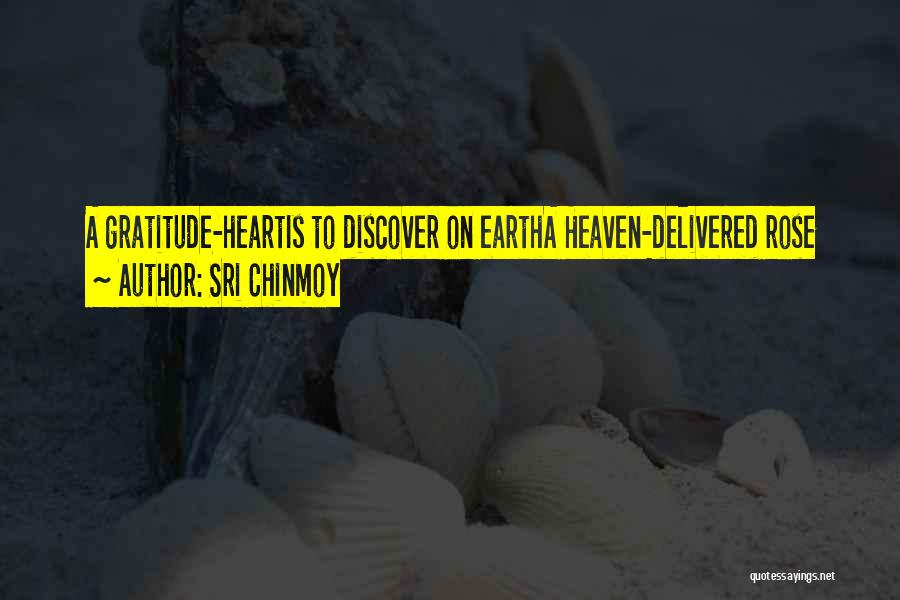Sri Chinmoy Quotes: A Gratitude-heartis To Discover On Eartha Heaven-delivered Rose
