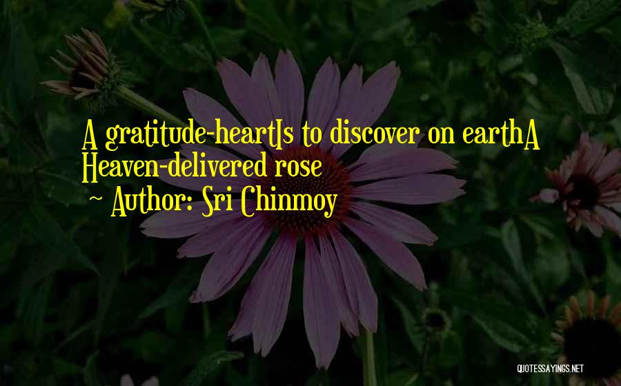 Sri Chinmoy Quotes: A Gratitude-heartis To Discover On Eartha Heaven-delivered Rose
