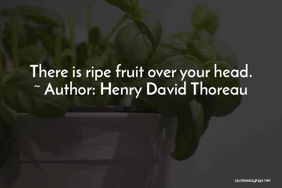 Henry David Thoreau Quotes: There Is Ripe Fruit Over Your Head.