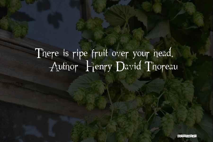 Henry David Thoreau Quotes: There Is Ripe Fruit Over Your Head.