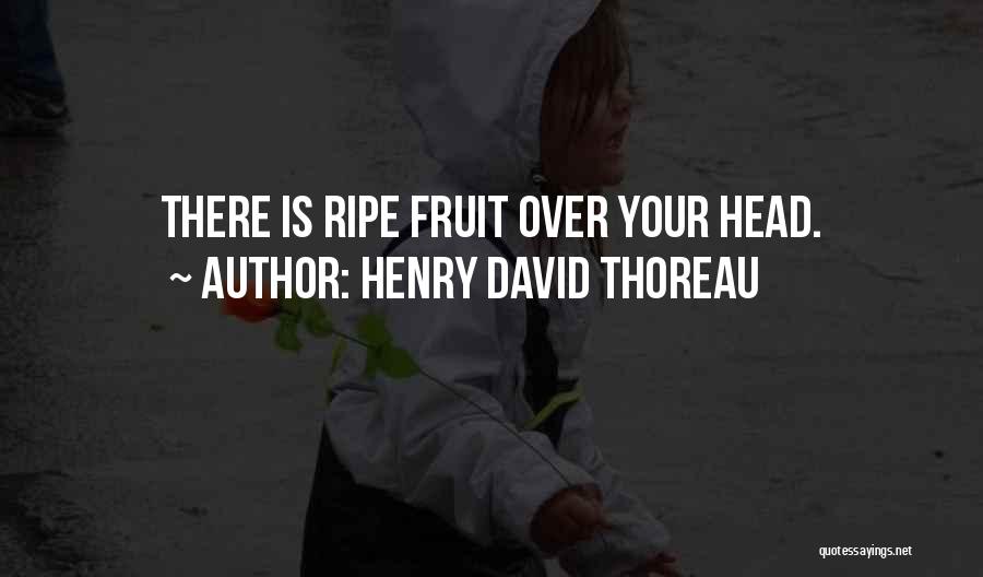 Henry David Thoreau Quotes: There Is Ripe Fruit Over Your Head.