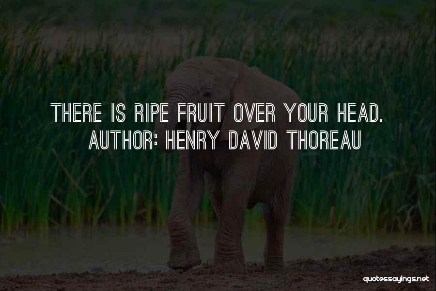 Henry David Thoreau Quotes: There Is Ripe Fruit Over Your Head.