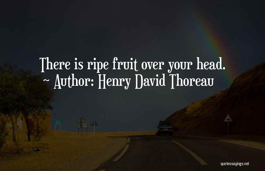 Henry David Thoreau Quotes: There Is Ripe Fruit Over Your Head.