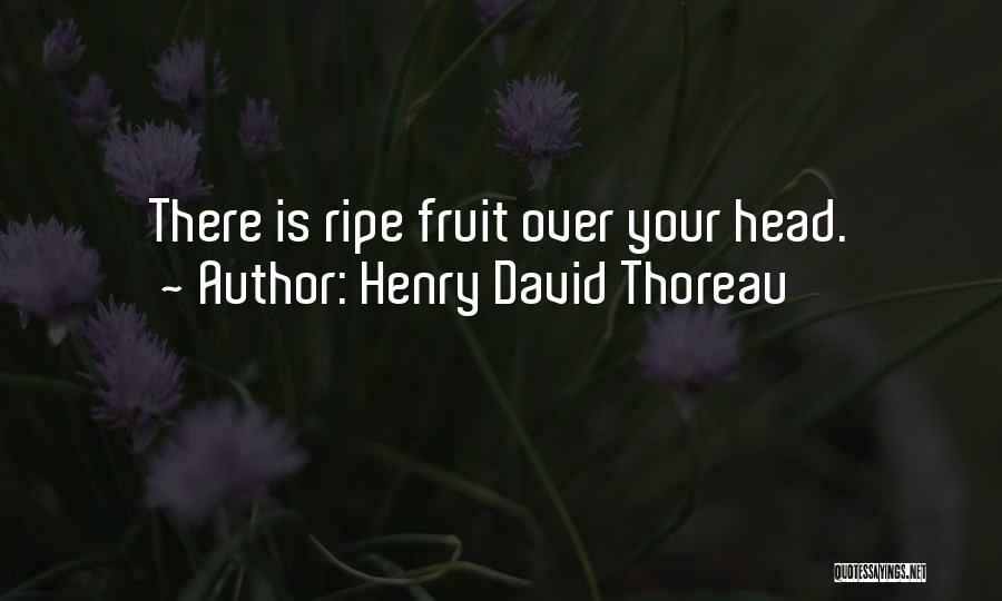 Henry David Thoreau Quotes: There Is Ripe Fruit Over Your Head.