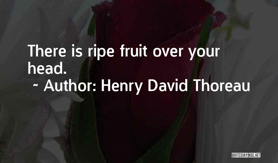 Henry David Thoreau Quotes: There Is Ripe Fruit Over Your Head.