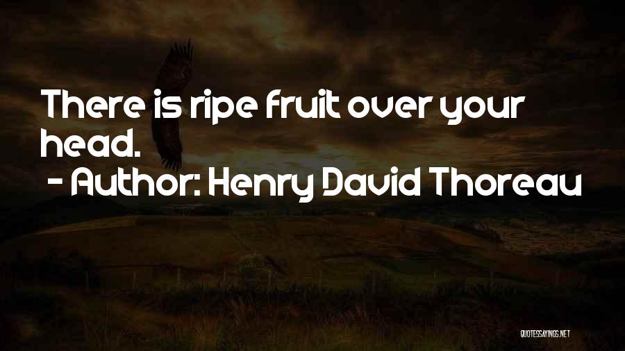 Henry David Thoreau Quotes: There Is Ripe Fruit Over Your Head.