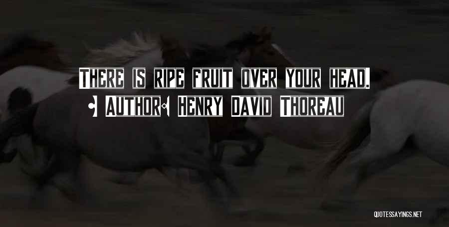 Henry David Thoreau Quotes: There Is Ripe Fruit Over Your Head.