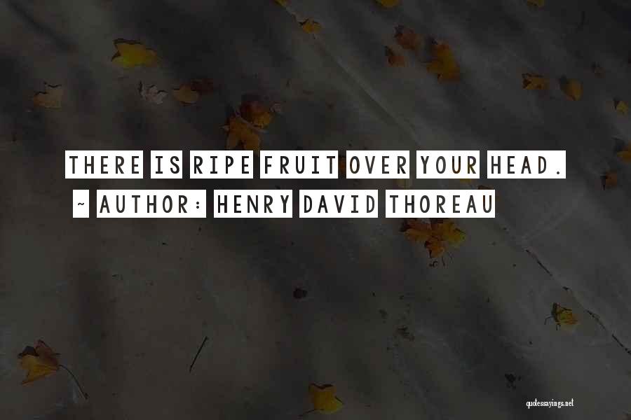 Henry David Thoreau Quotes: There Is Ripe Fruit Over Your Head.