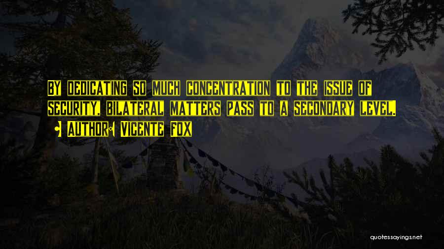 Vicente Fox Quotes: By Dedicating So Much Concentration To The Issue Of Security, Bilateral Matters Pass To A Secondary Level.