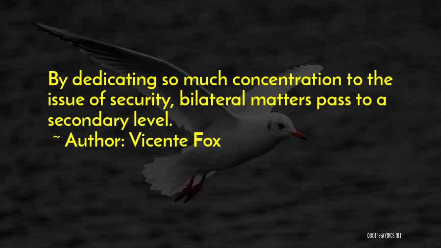 Vicente Fox Quotes: By Dedicating So Much Concentration To The Issue Of Security, Bilateral Matters Pass To A Secondary Level.