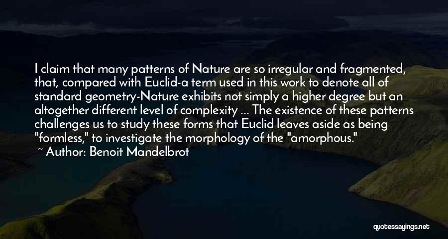 Benoit Mandelbrot Quotes: I Claim That Many Patterns Of Nature Are So Irregular And Fragmented, That, Compared With Euclid-a Term Used In This