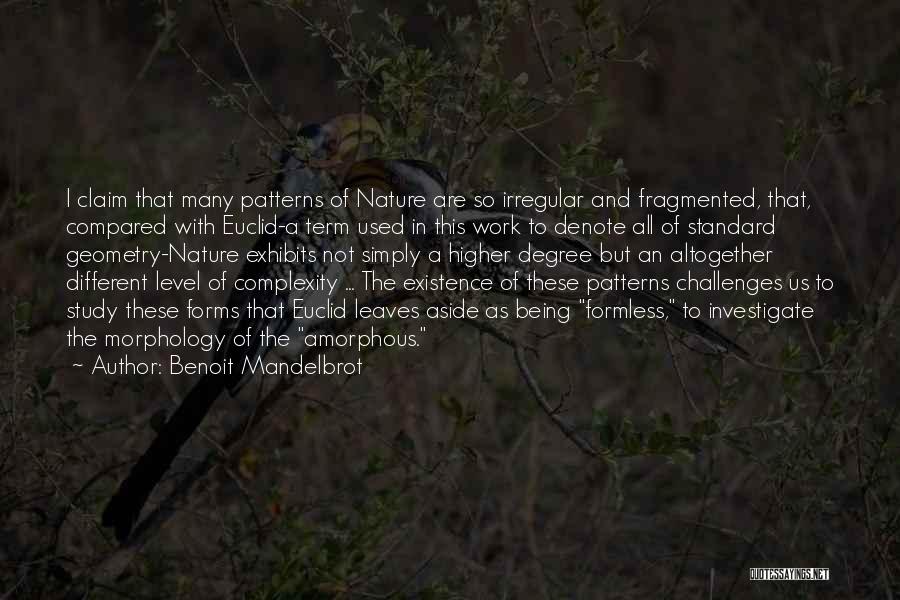 Benoit Mandelbrot Quotes: I Claim That Many Patterns Of Nature Are So Irregular And Fragmented, That, Compared With Euclid-a Term Used In This