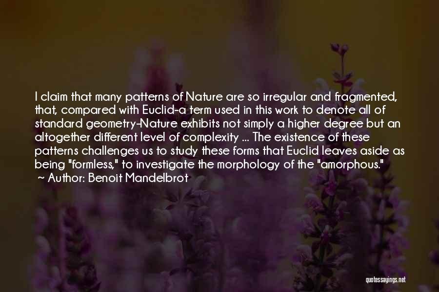 Benoit Mandelbrot Quotes: I Claim That Many Patterns Of Nature Are So Irregular And Fragmented, That, Compared With Euclid-a Term Used In This