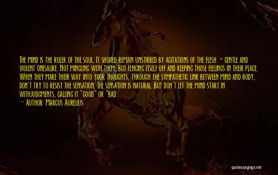 Marcus Aurelius Quotes: The Mind Is The Ruler Of The Soul. It Should Remain Unstirred By Agitations Of The Flesh - Gentle And