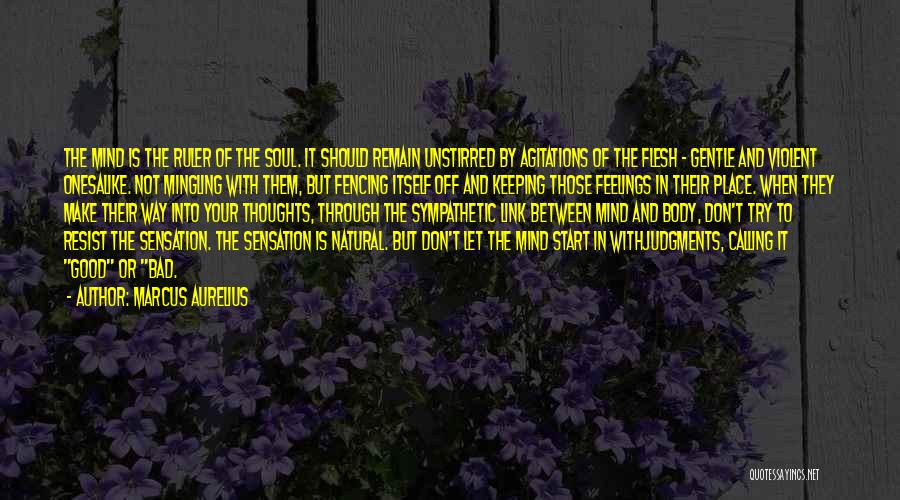 Marcus Aurelius Quotes: The Mind Is The Ruler Of The Soul. It Should Remain Unstirred By Agitations Of The Flesh - Gentle And
