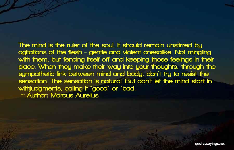 Marcus Aurelius Quotes: The Mind Is The Ruler Of The Soul. It Should Remain Unstirred By Agitations Of The Flesh - Gentle And