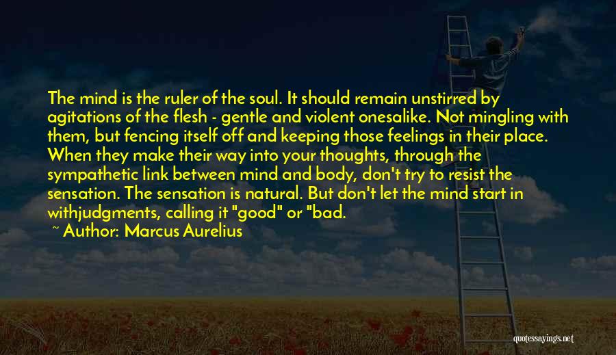 Marcus Aurelius Quotes: The Mind Is The Ruler Of The Soul. It Should Remain Unstirred By Agitations Of The Flesh - Gentle And