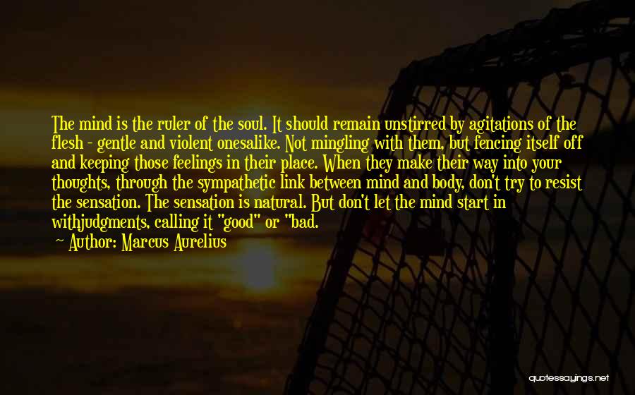 Marcus Aurelius Quotes: The Mind Is The Ruler Of The Soul. It Should Remain Unstirred By Agitations Of The Flesh - Gentle And
