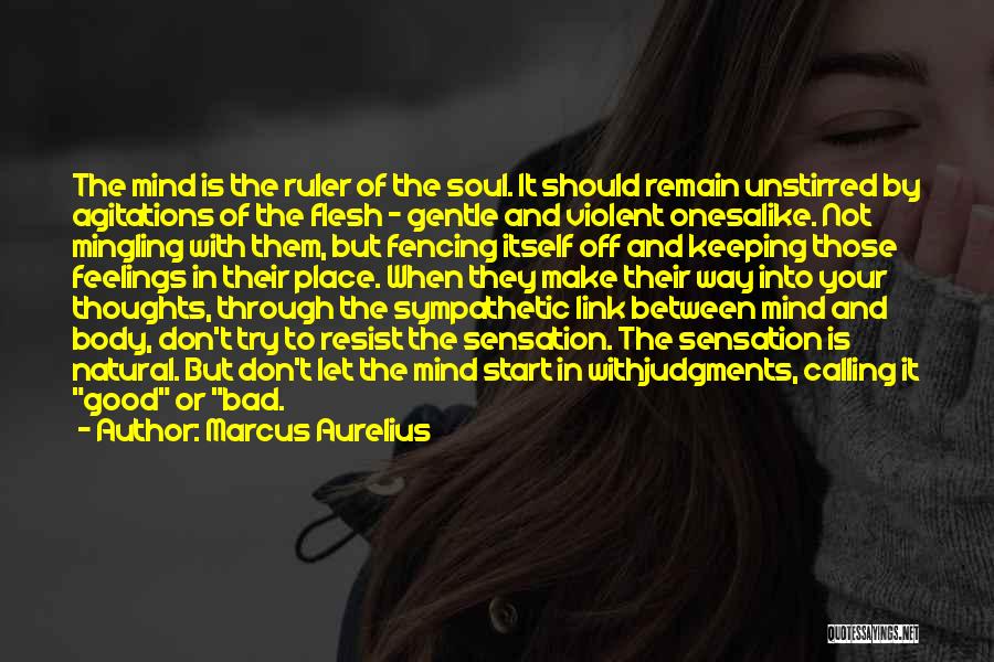 Marcus Aurelius Quotes: The Mind Is The Ruler Of The Soul. It Should Remain Unstirred By Agitations Of The Flesh - Gentle And