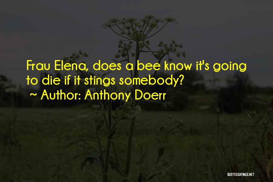 Anthony Doerr Quotes: Frau Elena, Does A Bee Know It's Going To Die If It Stings Somebody?