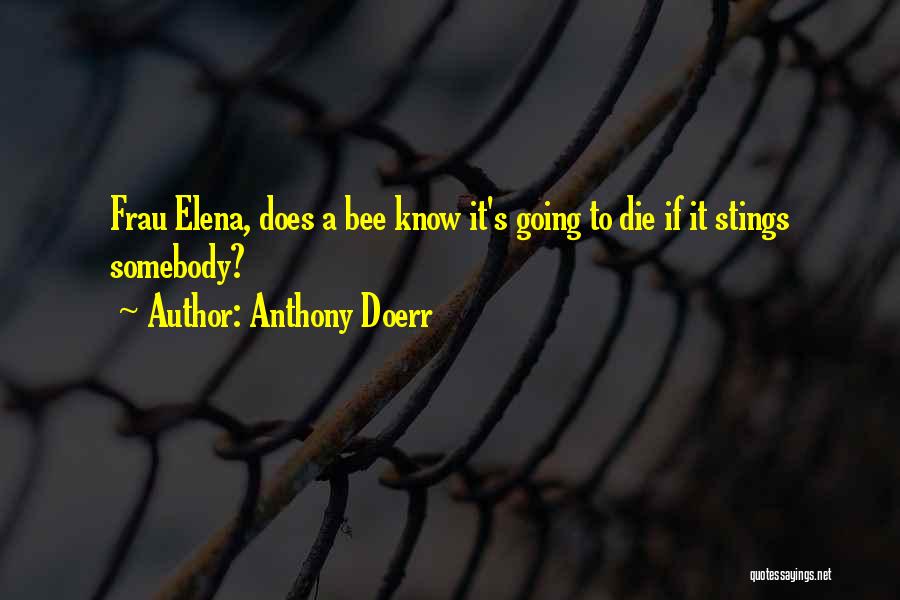 Anthony Doerr Quotes: Frau Elena, Does A Bee Know It's Going To Die If It Stings Somebody?