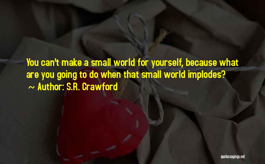 S.R. Crawford Quotes: You Can't Make A Small World For Yourself, Because What Are You Going To Do When That Small World Implodes?