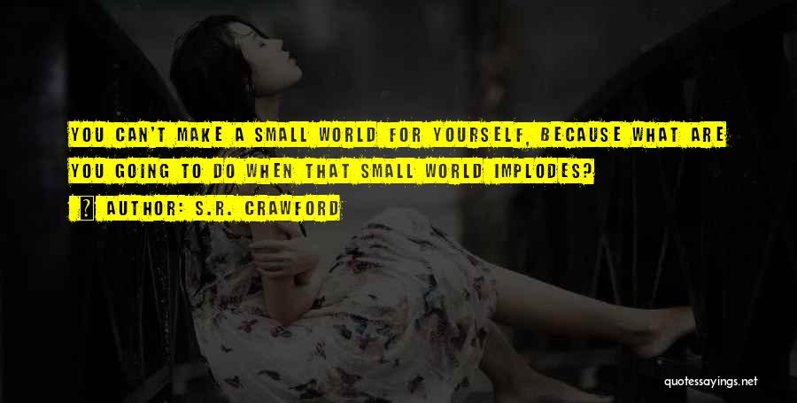 S.R. Crawford Quotes: You Can't Make A Small World For Yourself, Because What Are You Going To Do When That Small World Implodes?