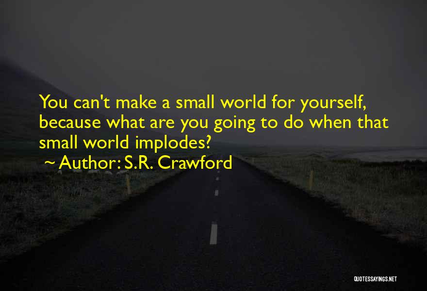 S.R. Crawford Quotes: You Can't Make A Small World For Yourself, Because What Are You Going To Do When That Small World Implodes?