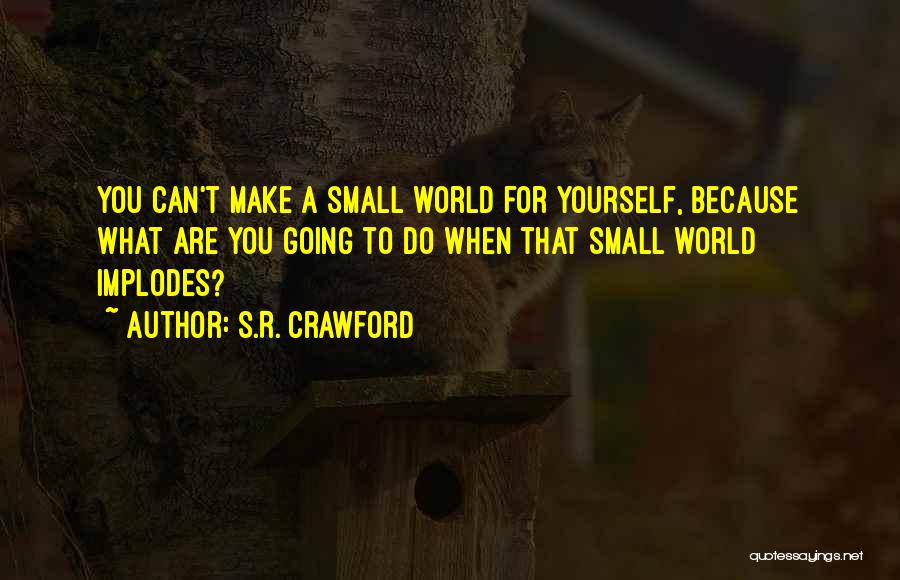 S.R. Crawford Quotes: You Can't Make A Small World For Yourself, Because What Are You Going To Do When That Small World Implodes?