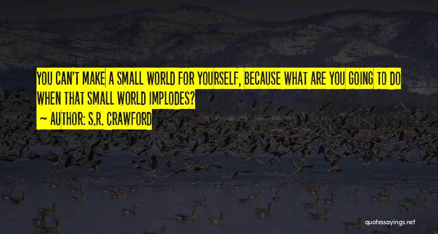 S.R. Crawford Quotes: You Can't Make A Small World For Yourself, Because What Are You Going To Do When That Small World Implodes?