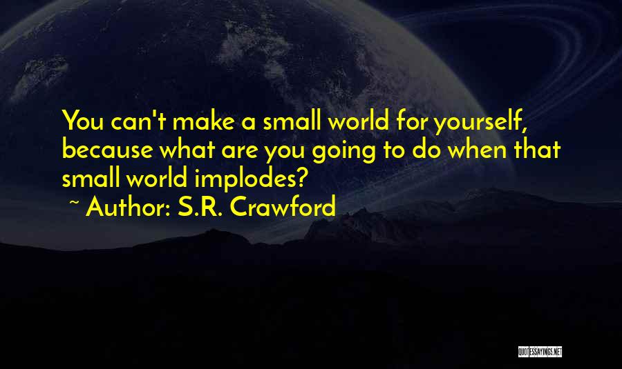 S.R. Crawford Quotes: You Can't Make A Small World For Yourself, Because What Are You Going To Do When That Small World Implodes?