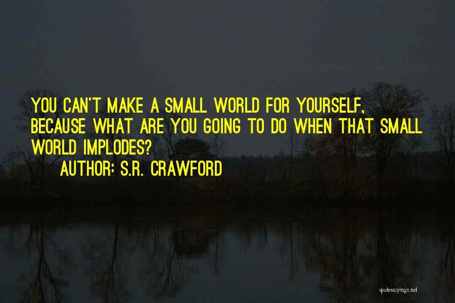 S.R. Crawford Quotes: You Can't Make A Small World For Yourself, Because What Are You Going To Do When That Small World Implodes?