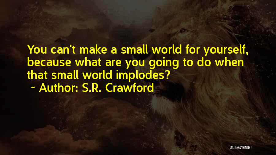 S.R. Crawford Quotes: You Can't Make A Small World For Yourself, Because What Are You Going To Do When That Small World Implodes?